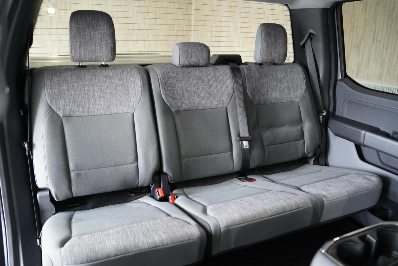 Ford F-150 Lightning  2023