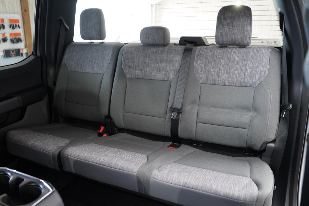 Ford F-150 Lightning  2023