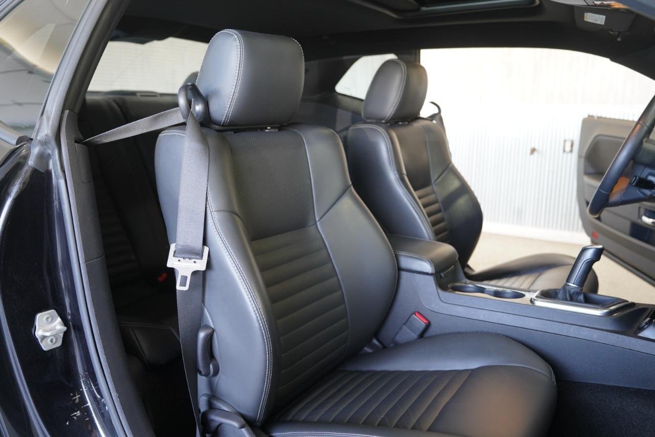 Dodge Challenger 2dr Cpe R/T 2010