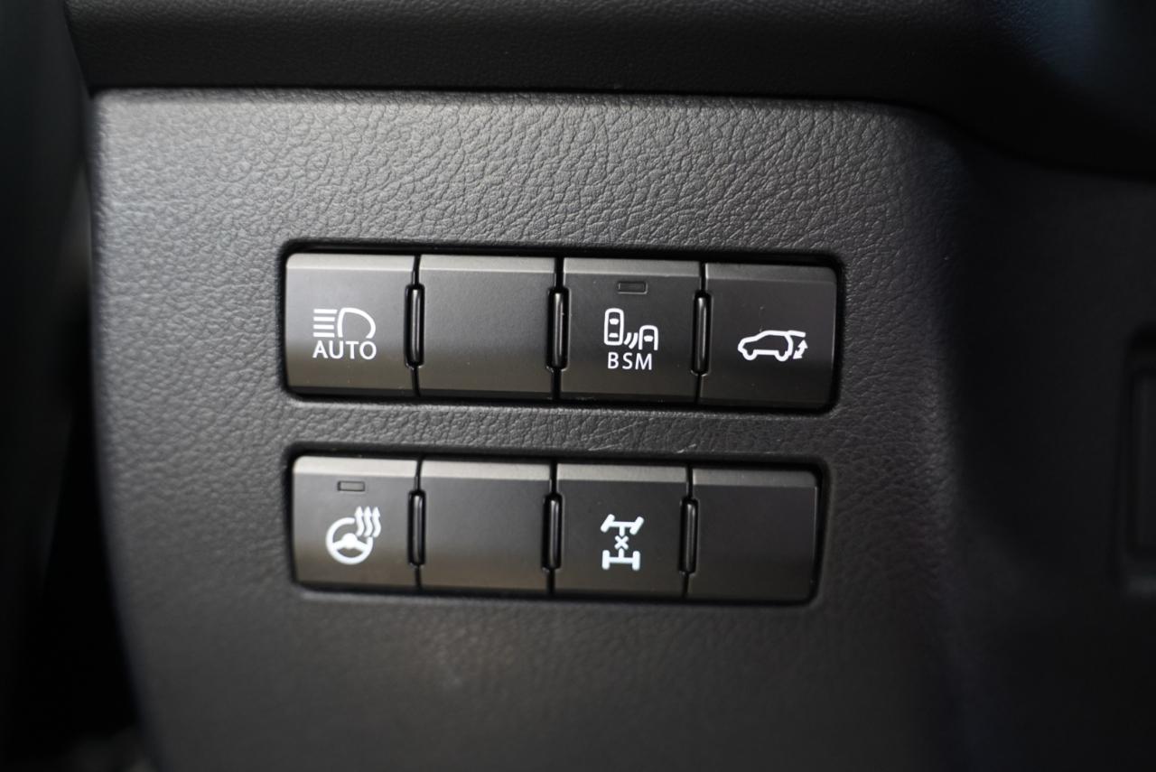 Lexus NX NX 300 F SPORT AWD 2020