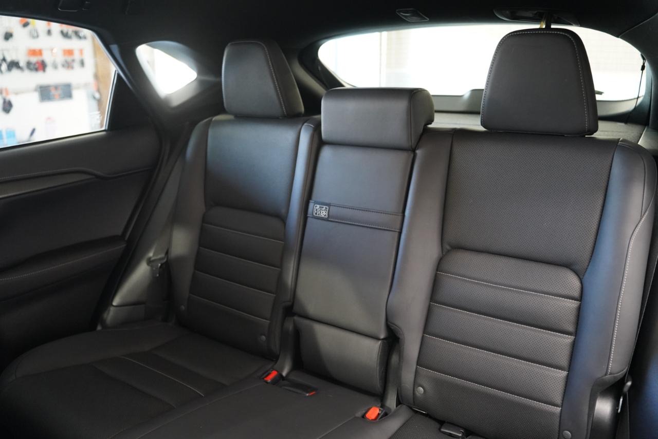 Lexus NX NX 300 F SPORT AWD 2020