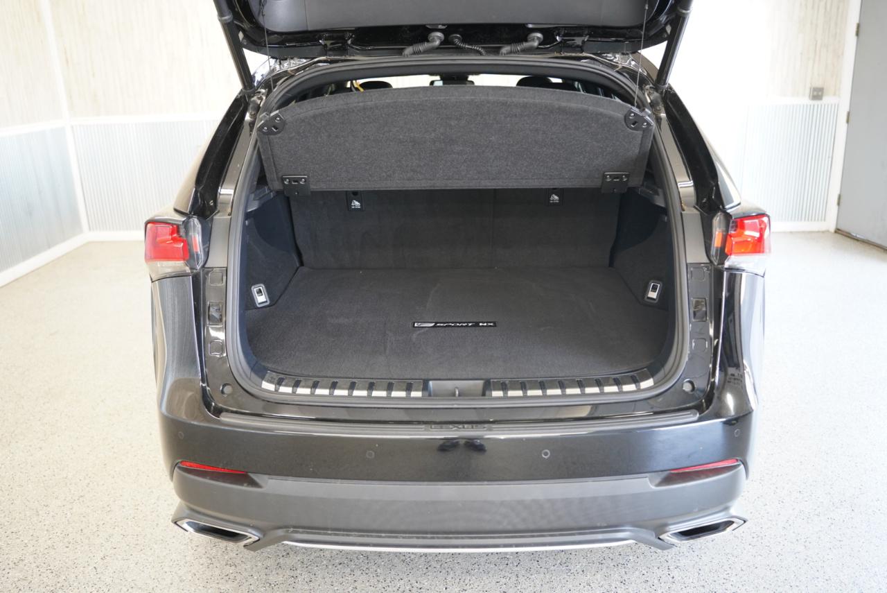 Lexus NX NX 300 F SPORT AWD 2020