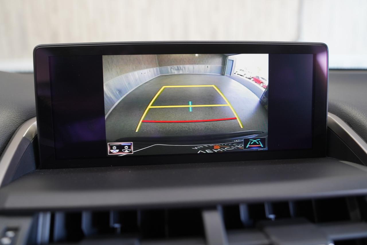 Lexus NX NX 300 F SPORT AWD 2020