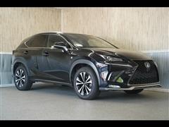 2020 Lexus NX 