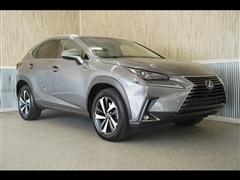 2021 Lexus NX 