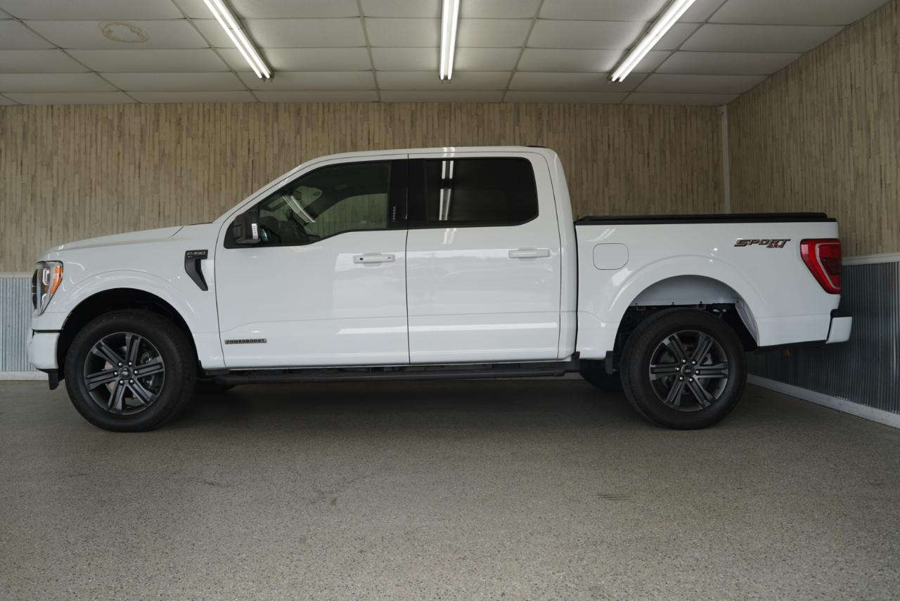 Ford F-150  2023