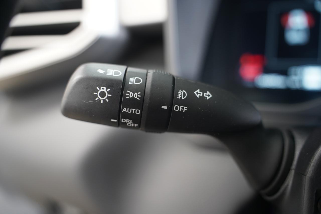 Toyota Tundra 4WD  2024