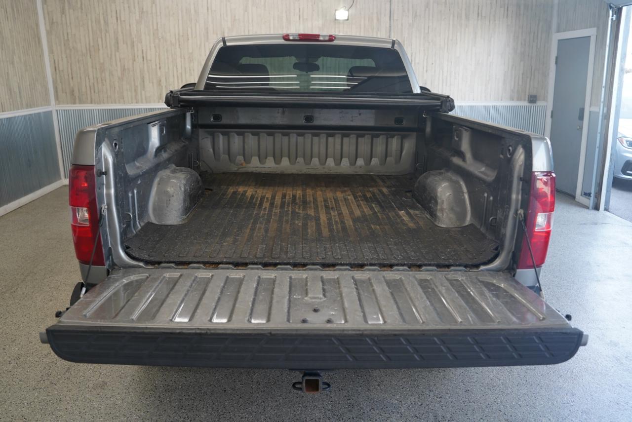 Chevrolet Silverado 1500 2WD Reg Cab 119.0" Work Truck 2007