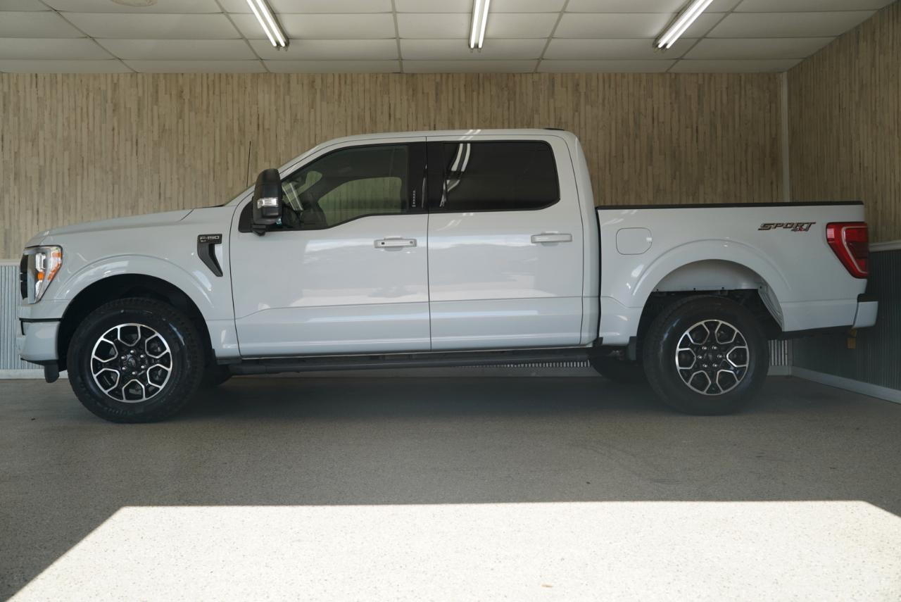 Ford F-150  2022