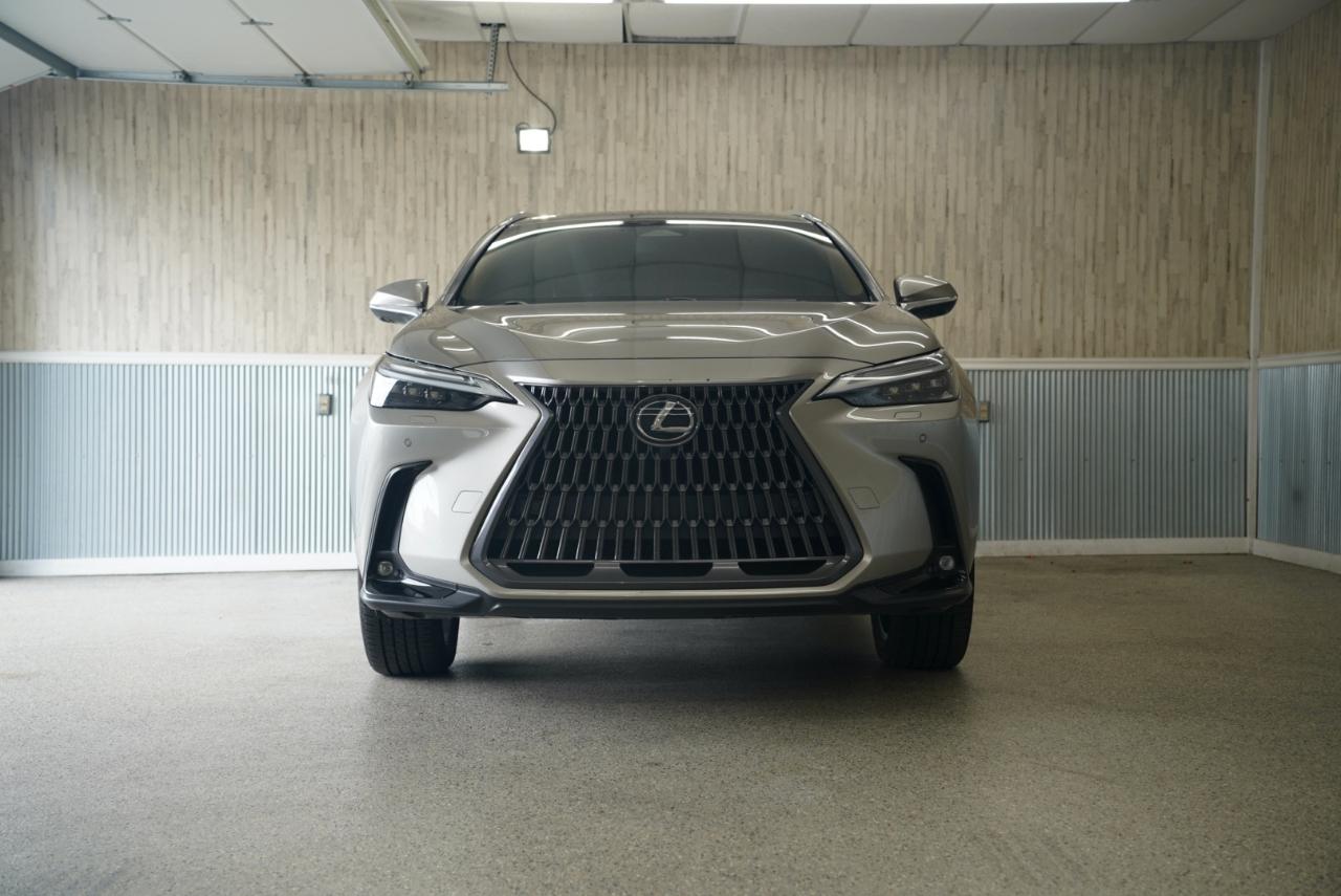Lexus NX NX 350h Luxury AWD 2024