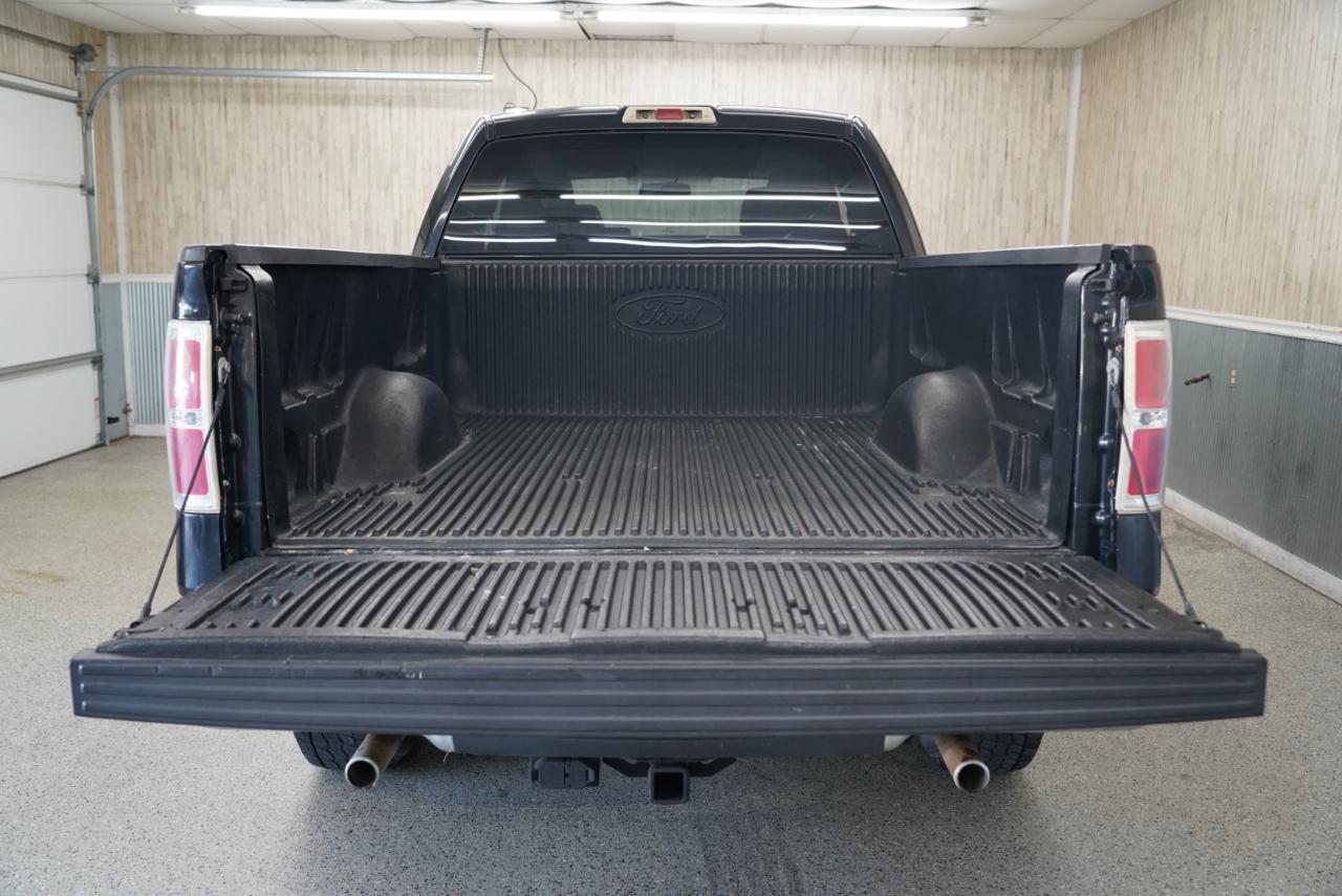 Ford F-150  2010