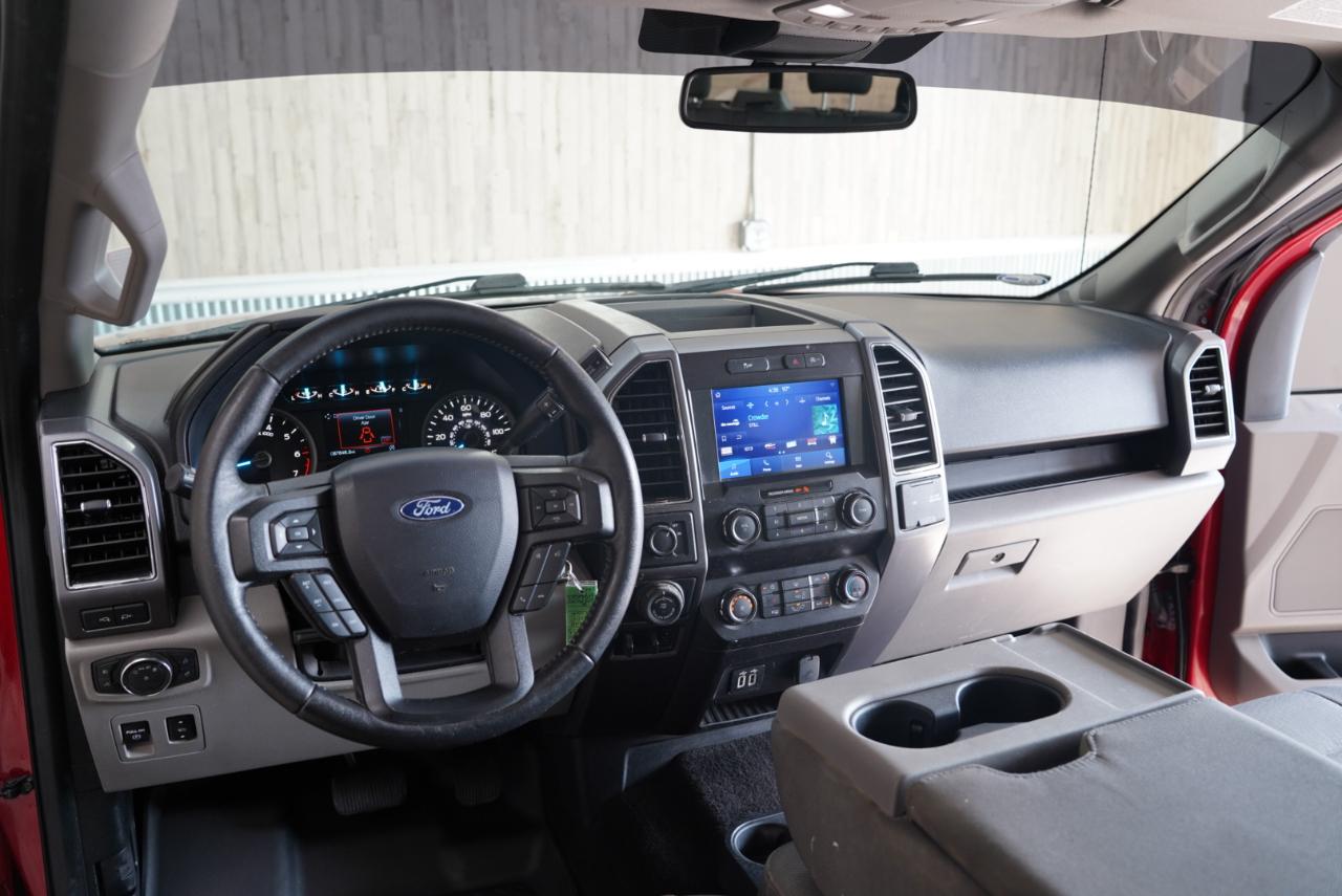 Ford F-150 King Ranch 2WD SuperCrew 5.5' Box 2020