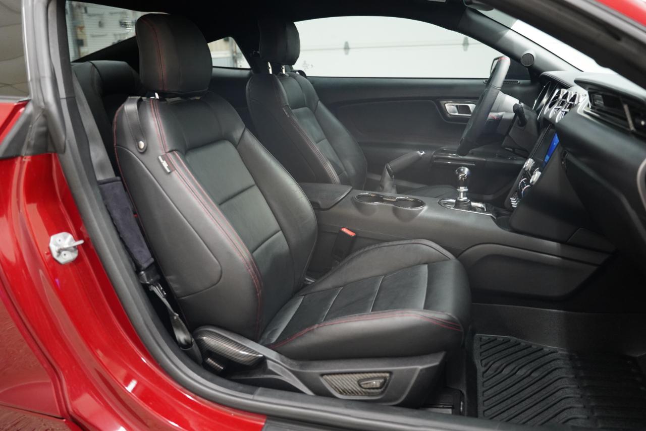 Ford Mustang GT Fastback 2021