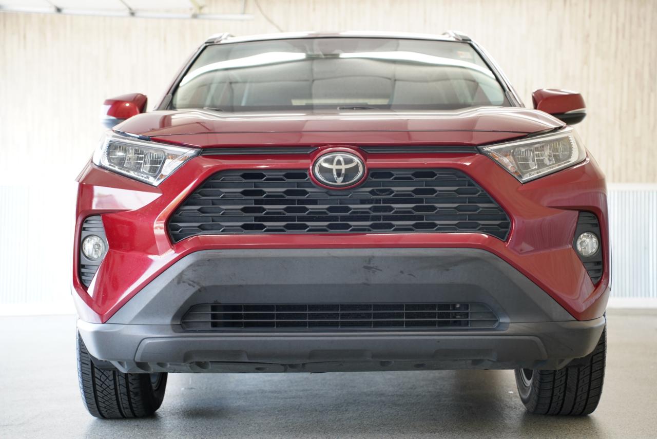 Toyota RAV4 XLE Premium FWD (Natl) 2019