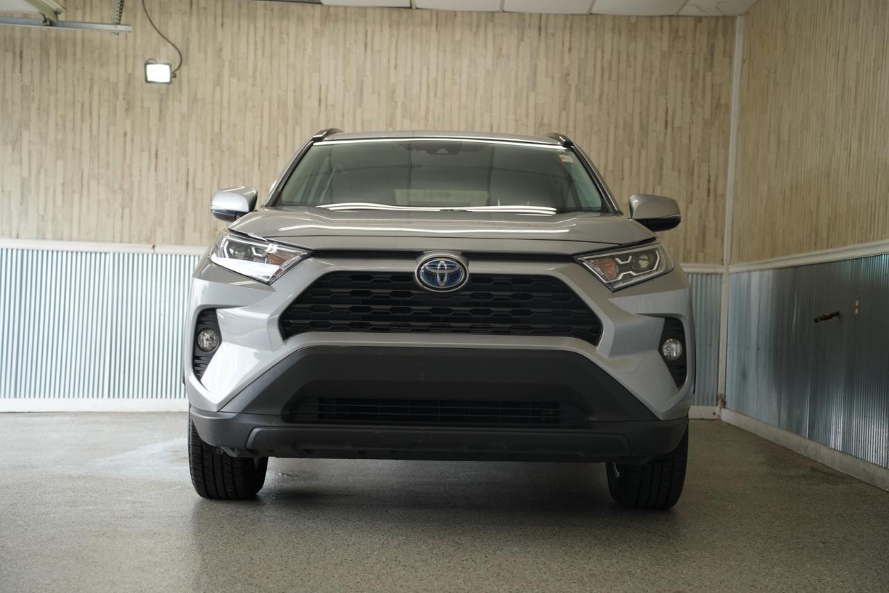 Toyota RAV4 Hybrid XLE AWD (Natl) 2019