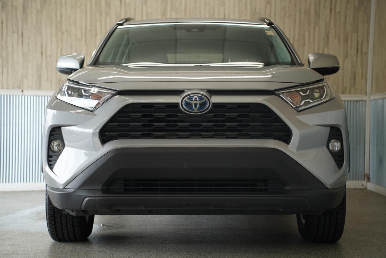 Toyota RAV4 Hybrid XLE AWD (Natl) 2019
