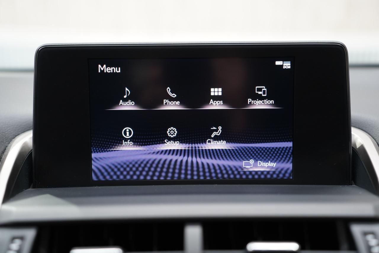 Lexus NX NX 300 FWD 2018