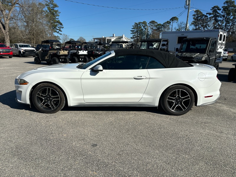 2019 Ford Mustang EcoBoost's photo