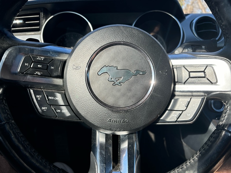 Ford Mustang EcoBoost Convertible 2019