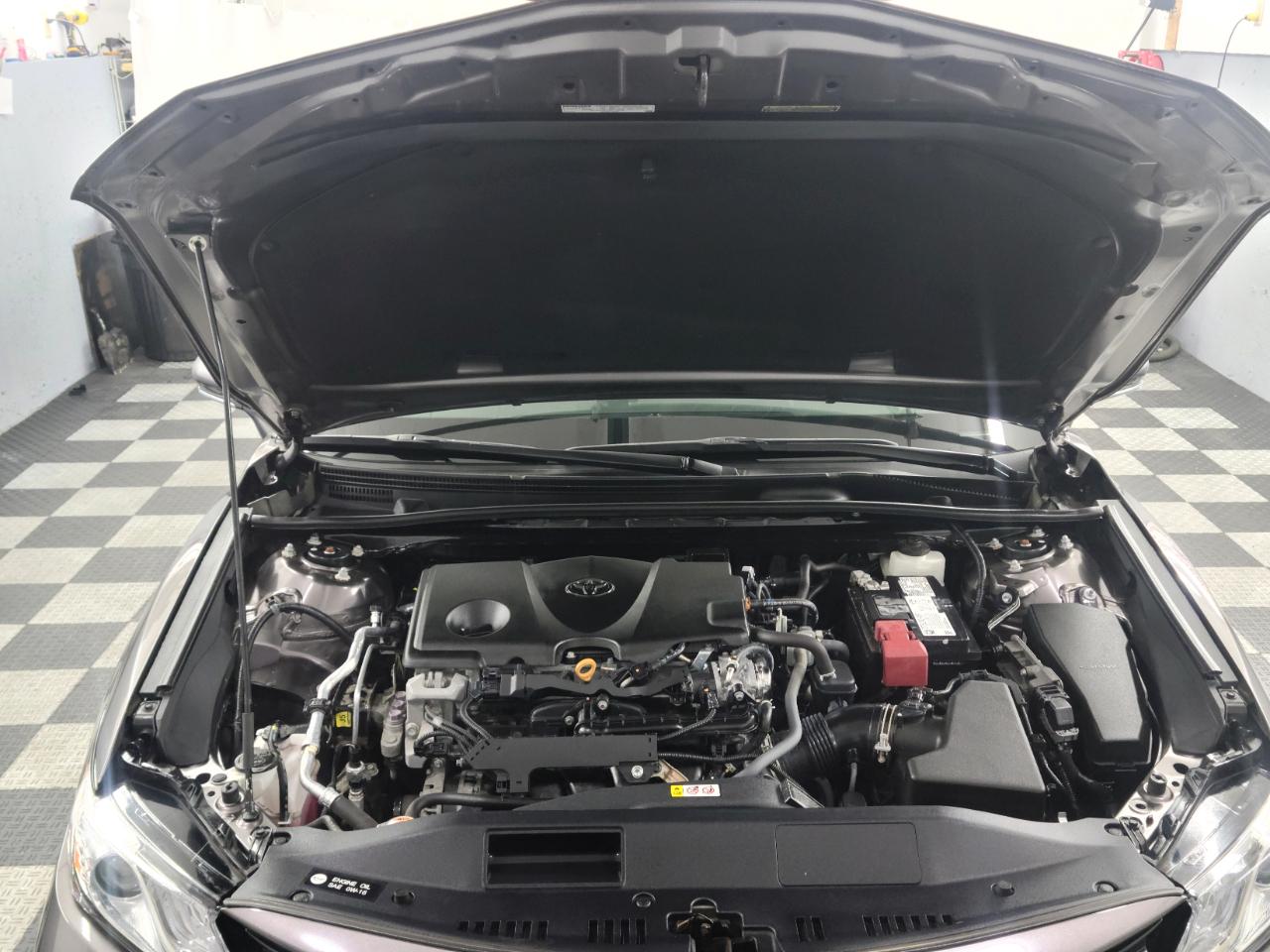 Toyota Camry XLE Auto AWD (Natl) 2021