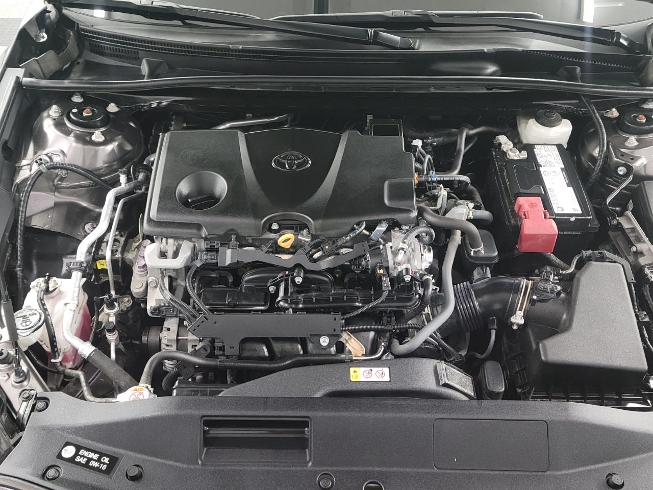 Toyota Camry XLE Auto AWD (Natl) 2021