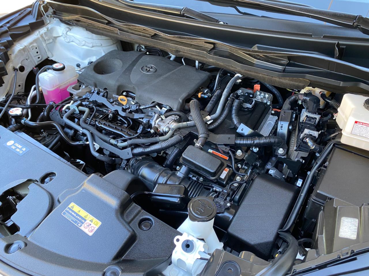 Toyota Sienna XLE FWD 8-Passenger (Natl) 2023