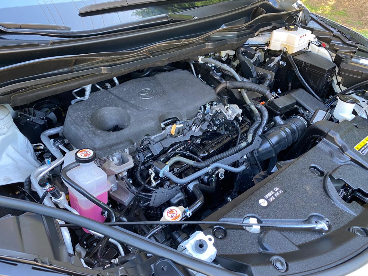 Toyota Sienna XLE FWD 8-Passenger (Natl) 2023