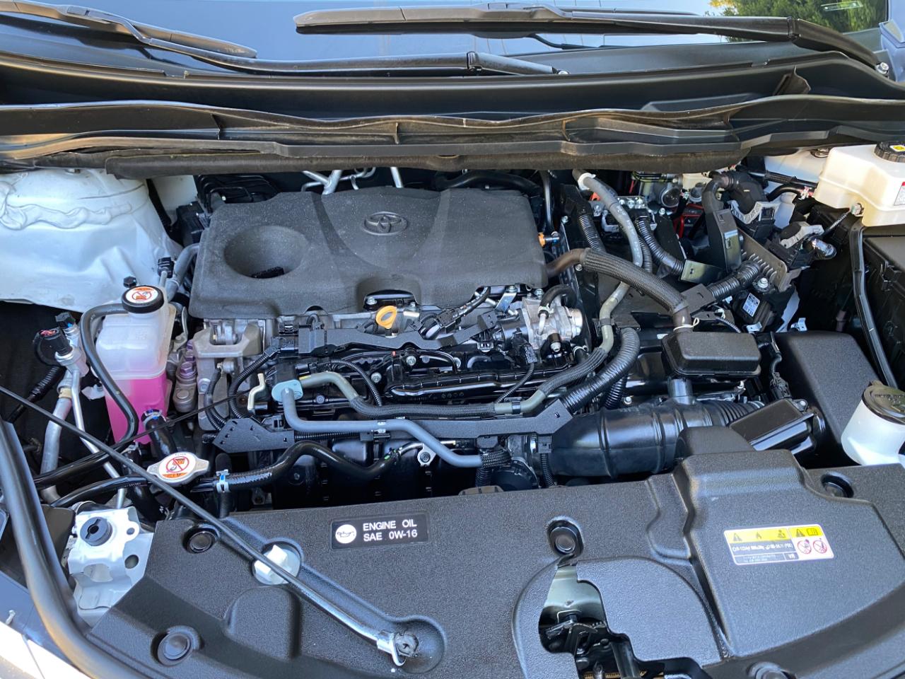 Toyota Sienna XLE FWD 8-Passenger (Natl) 2023