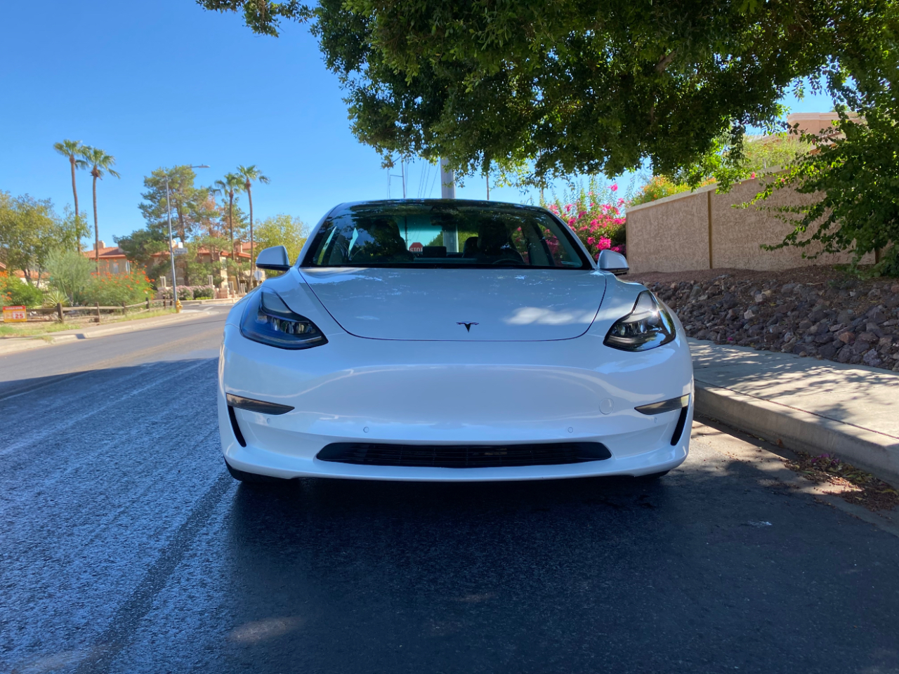 2022 Tesla Model 3 photo 5