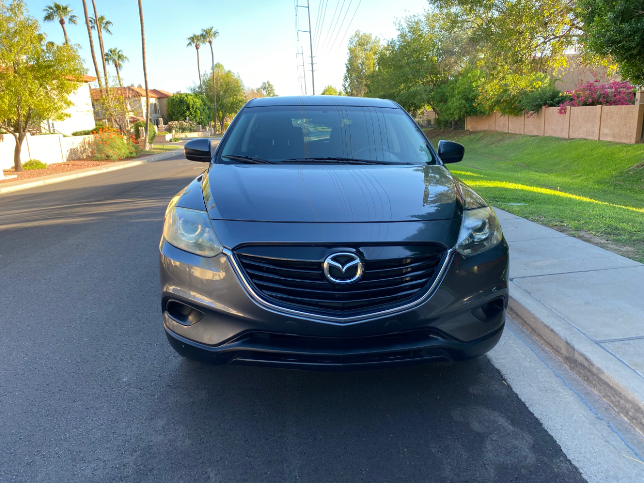 2015 Mazda CX-9 Sport photo 12