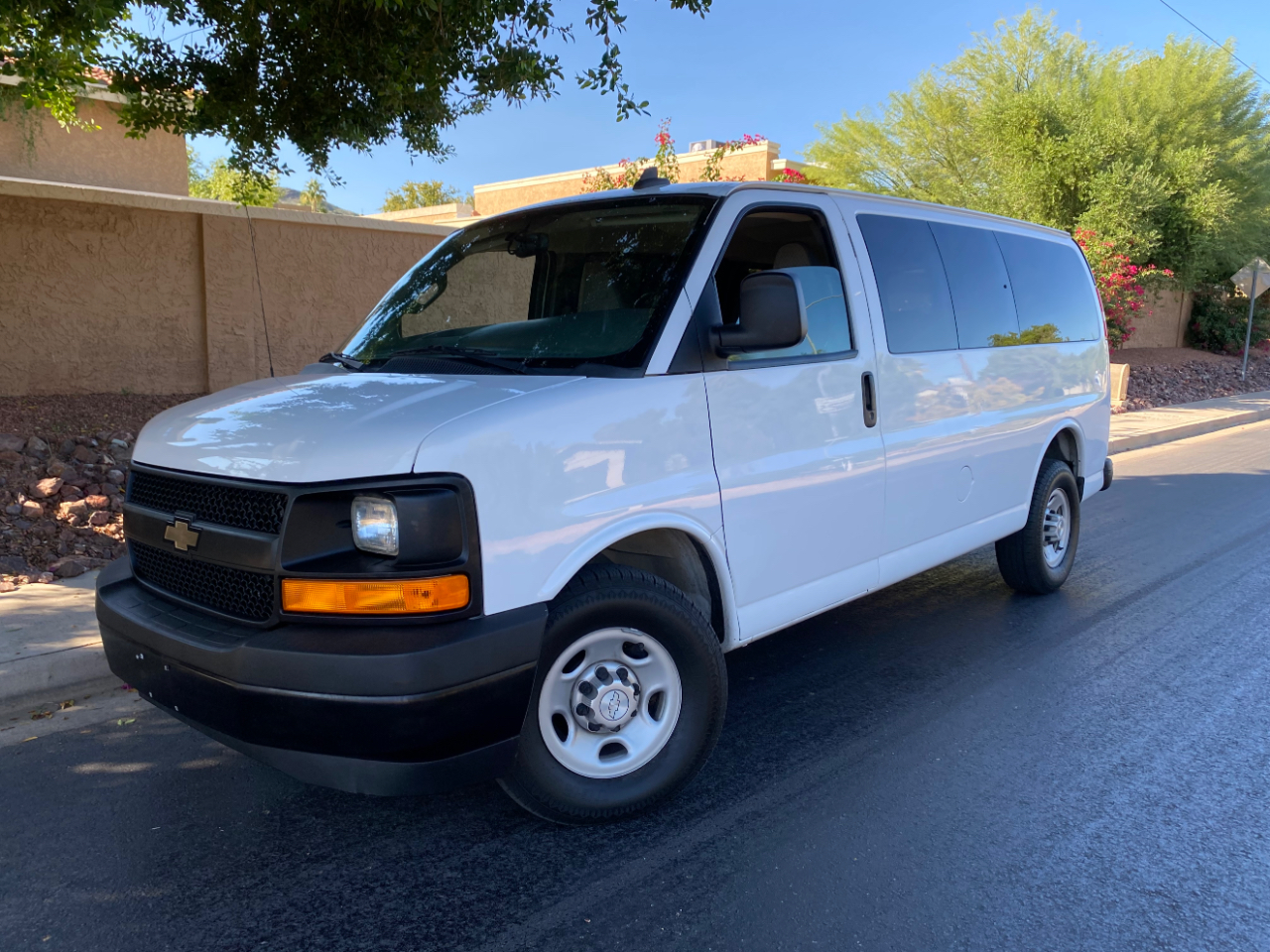 Chevrolet Express Passenger RWD 2500 135" LS 2017 Chevrolet Express Passenger RWD 2500 135" LS 2017