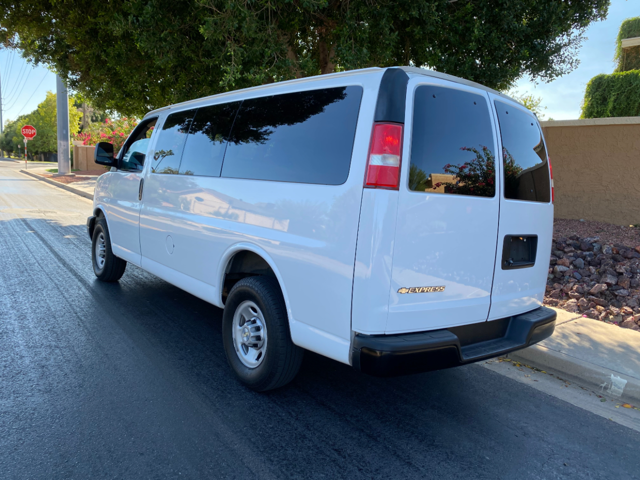 Chevrolet Express Passenger RWD 2500 135" LS 2017 Chevrolet Express Passenger RWD 2500 135" LS 2017