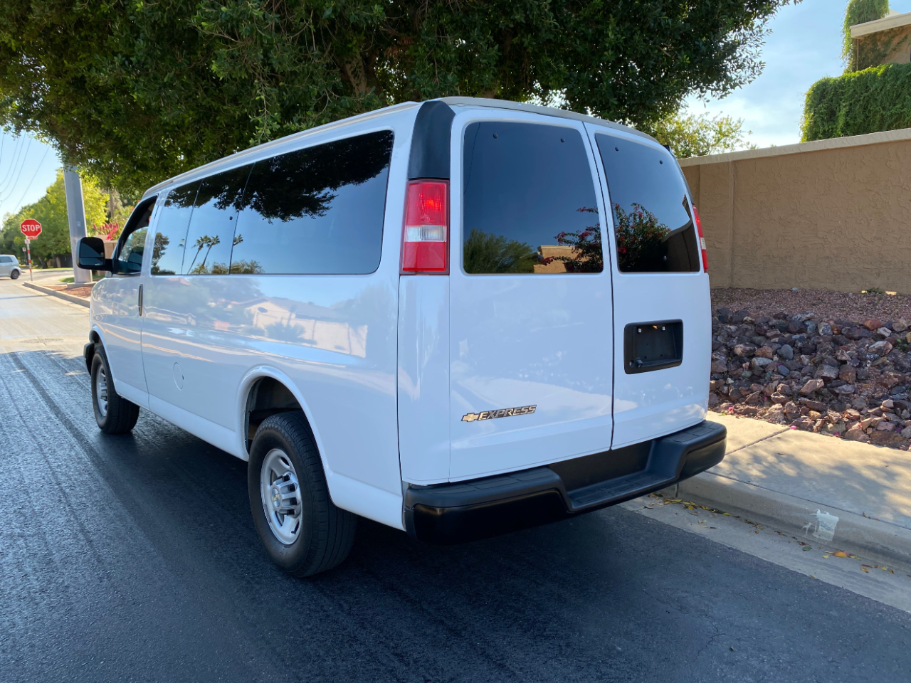 Chevrolet Express Passenger RWD 2500 135" LS 2017 Chevrolet Express Passenger RWD 2500 135" LS 2017