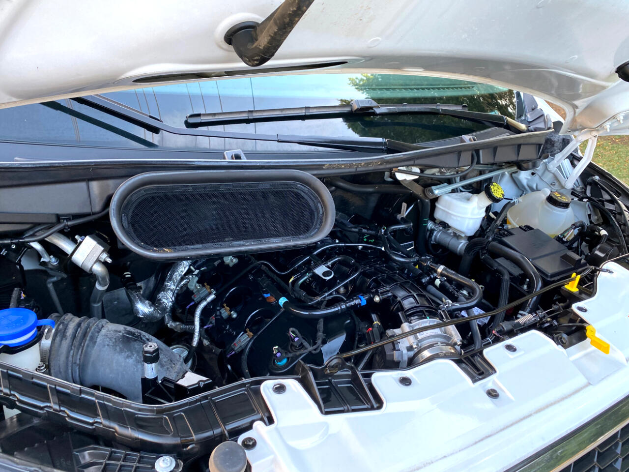 Ford Transit Passenger Wagon T-350 148" Low Roof XLT RWD 2023