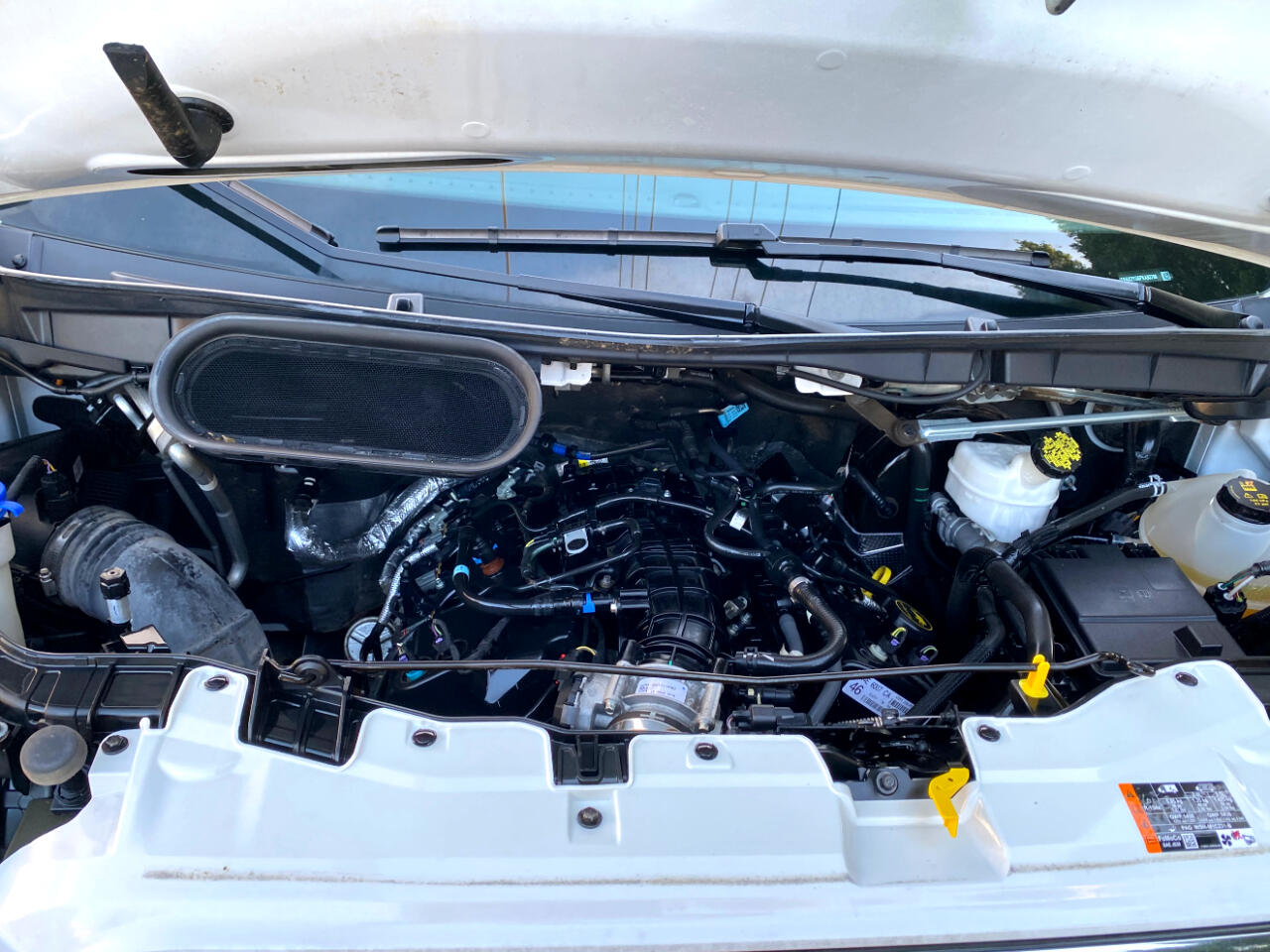 Ford Transit Passenger Wagon T-350 148" Low Roof XLT RWD 2023