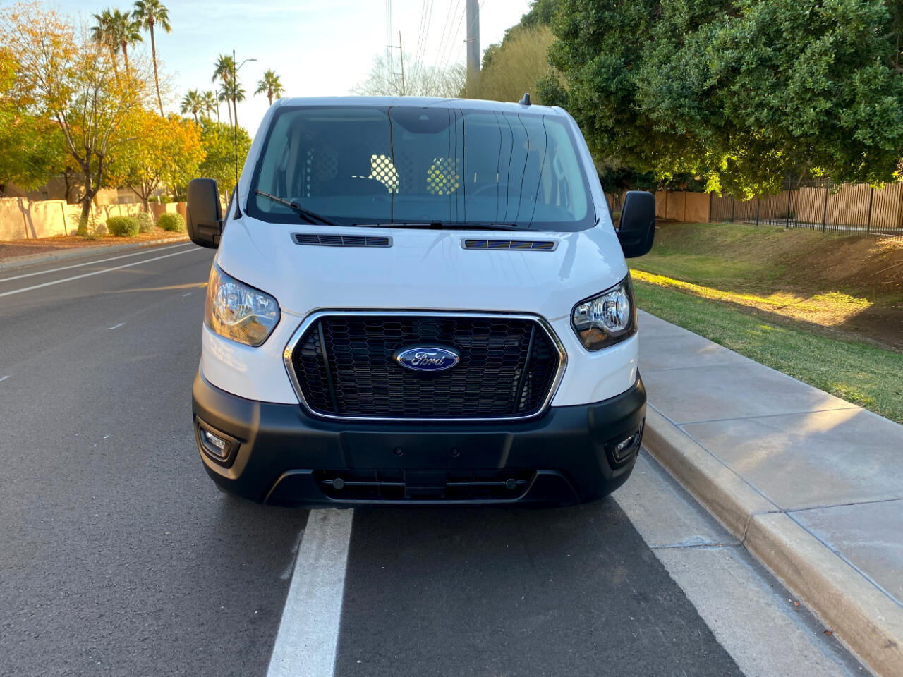 Ford Transit Cargo Van T-250 130" Low Rf 9070 GVWR RWD 2024