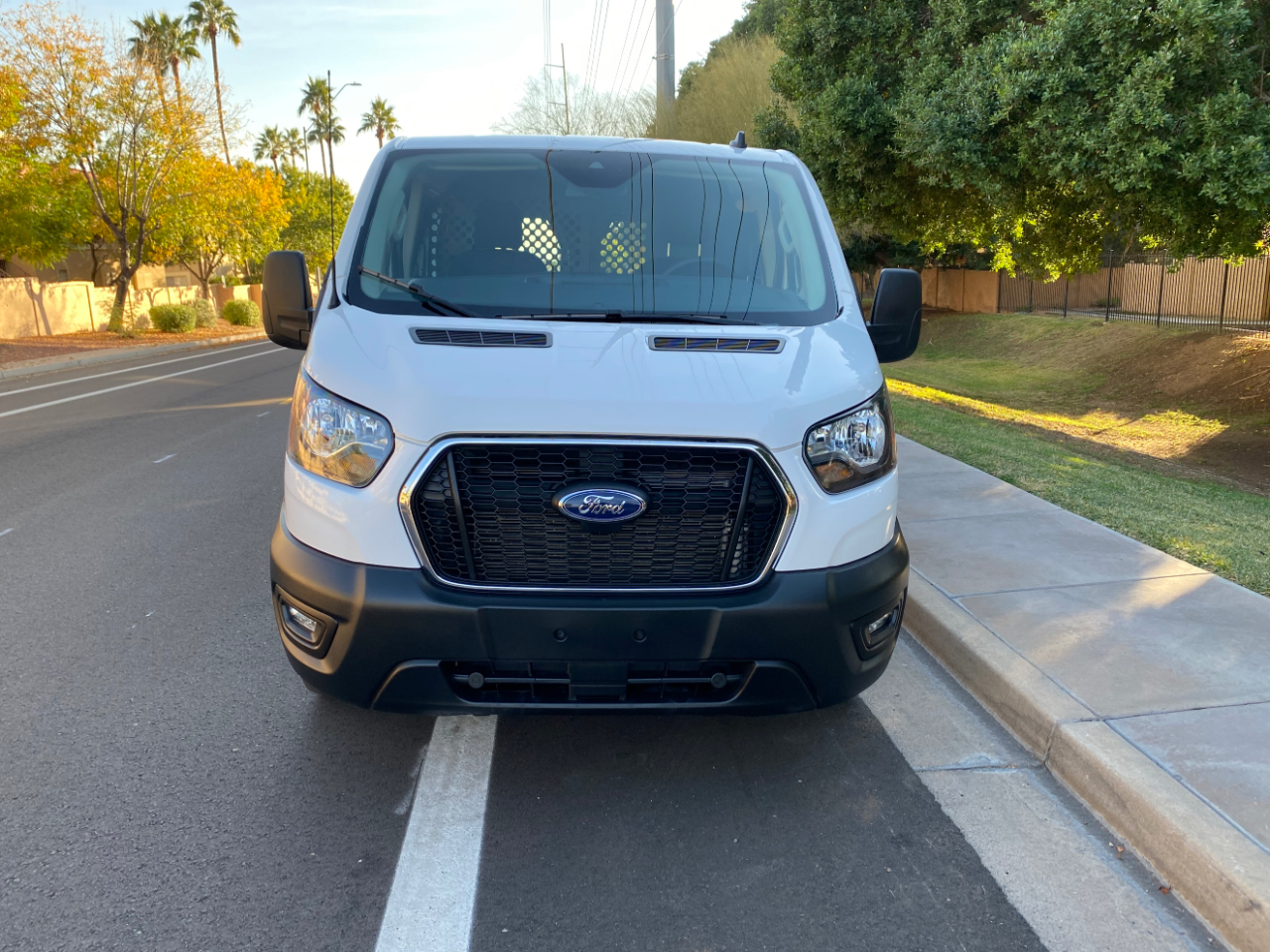 Ford Transit Cargo Van T-250 130" Low Rf 9070 GVWR RWD 2024