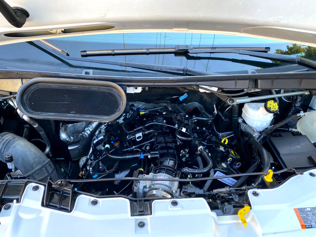 Ford Transit Passenger Wagon T-350 148" Low Roof XLT RWD 2023