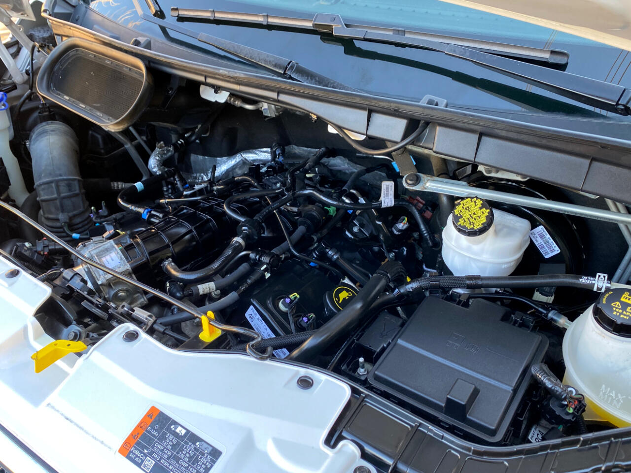 Ford Transit Passenger Wagon T-350 148" Low Roof XLT RWD 2023