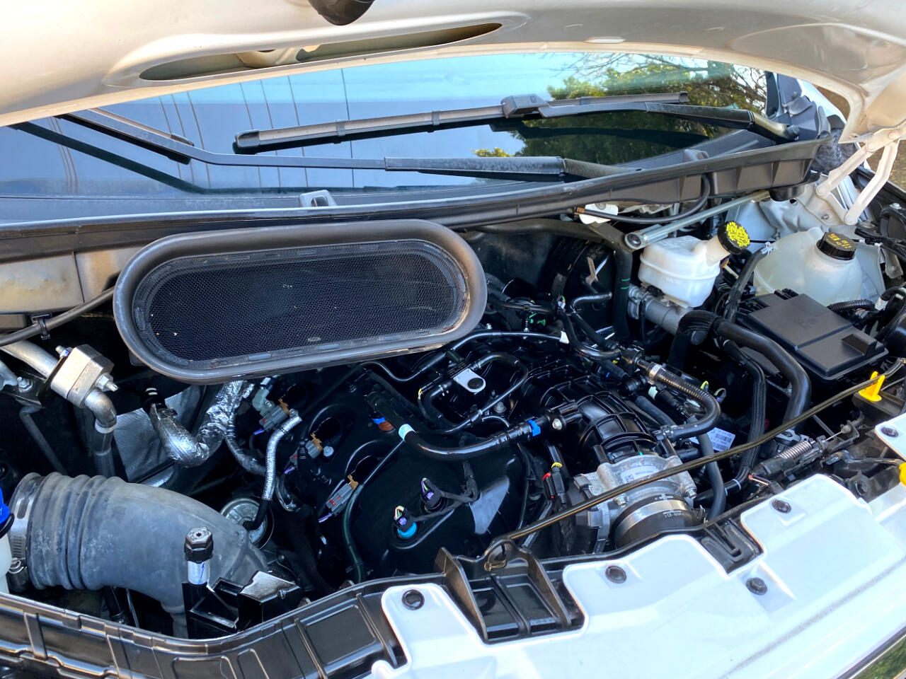 Ford Transit Passenger Wagon T-350 148" Low Roof XLT RWD 2023