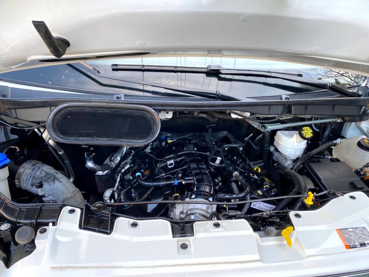 Ford Transit Passenger Wagon T-350 148" Low Roof XLT RWD 2023