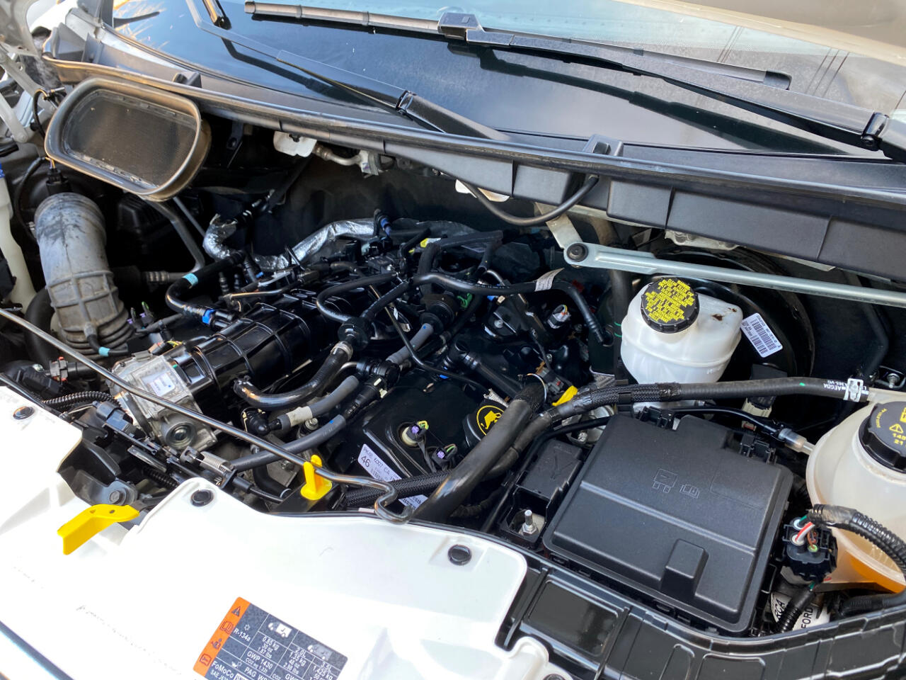 Ford Transit Passenger Wagon T-350 148" Low Roof XLT RWD 2023