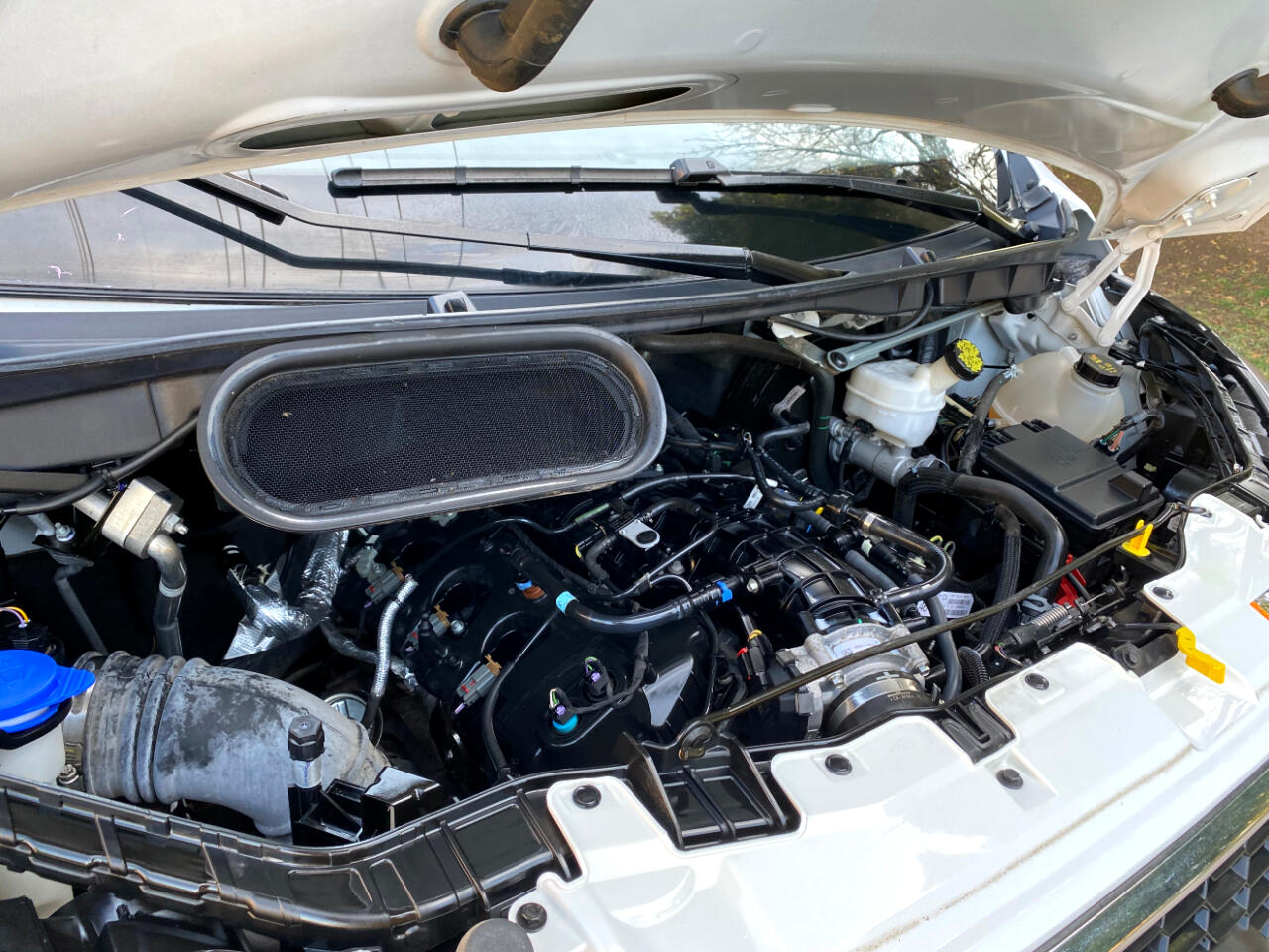 Ford Transit Passenger Wagon T-350 148" Low Roof XLT RWD 2023