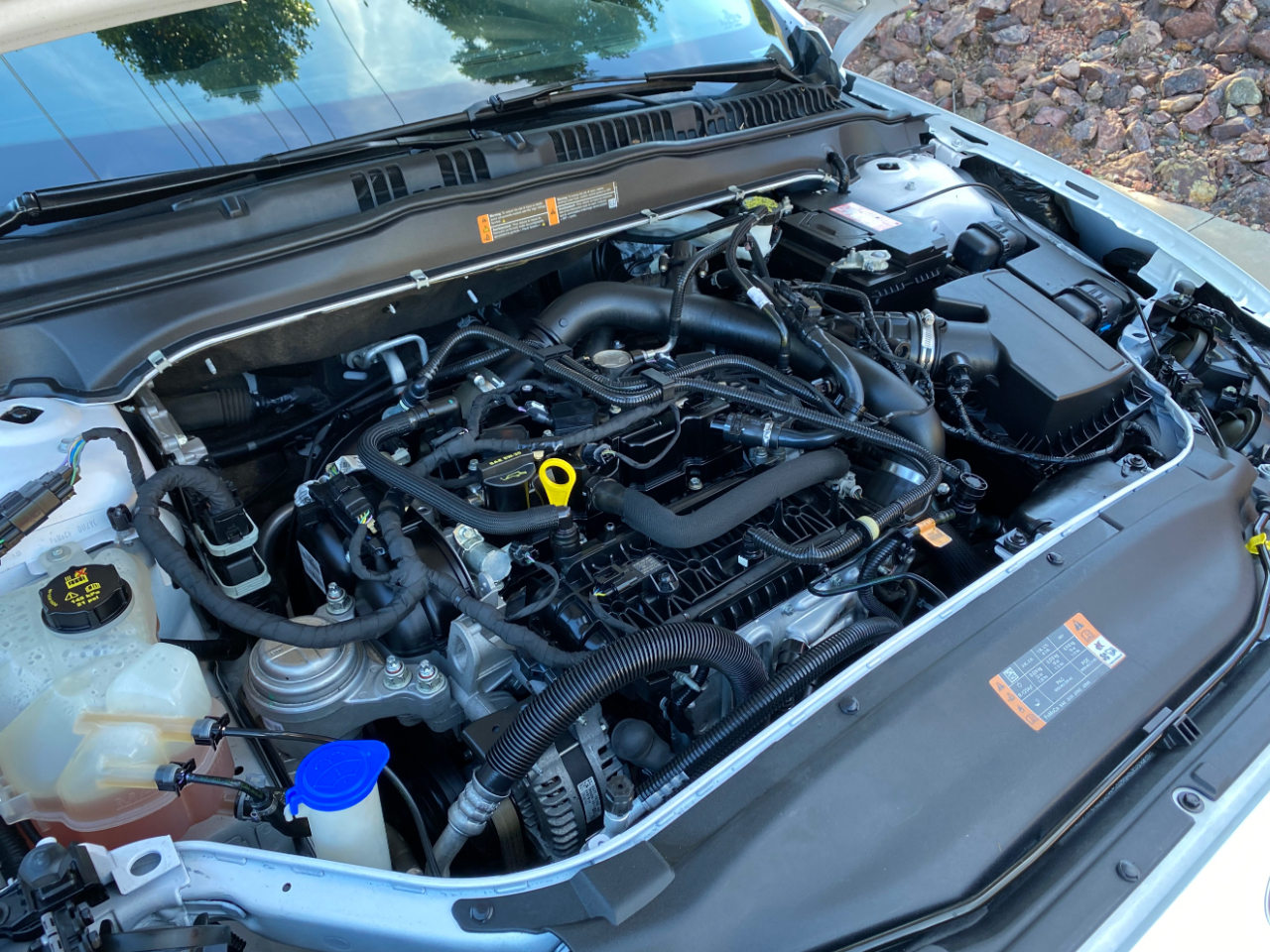 Ford Fusion SE FWD 2019