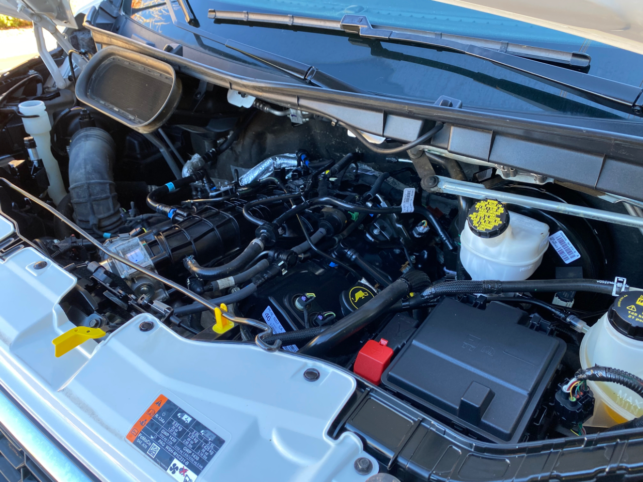 Ford Transit Passenger Wagon T-350 148" Low Roof XLT RWD 2023