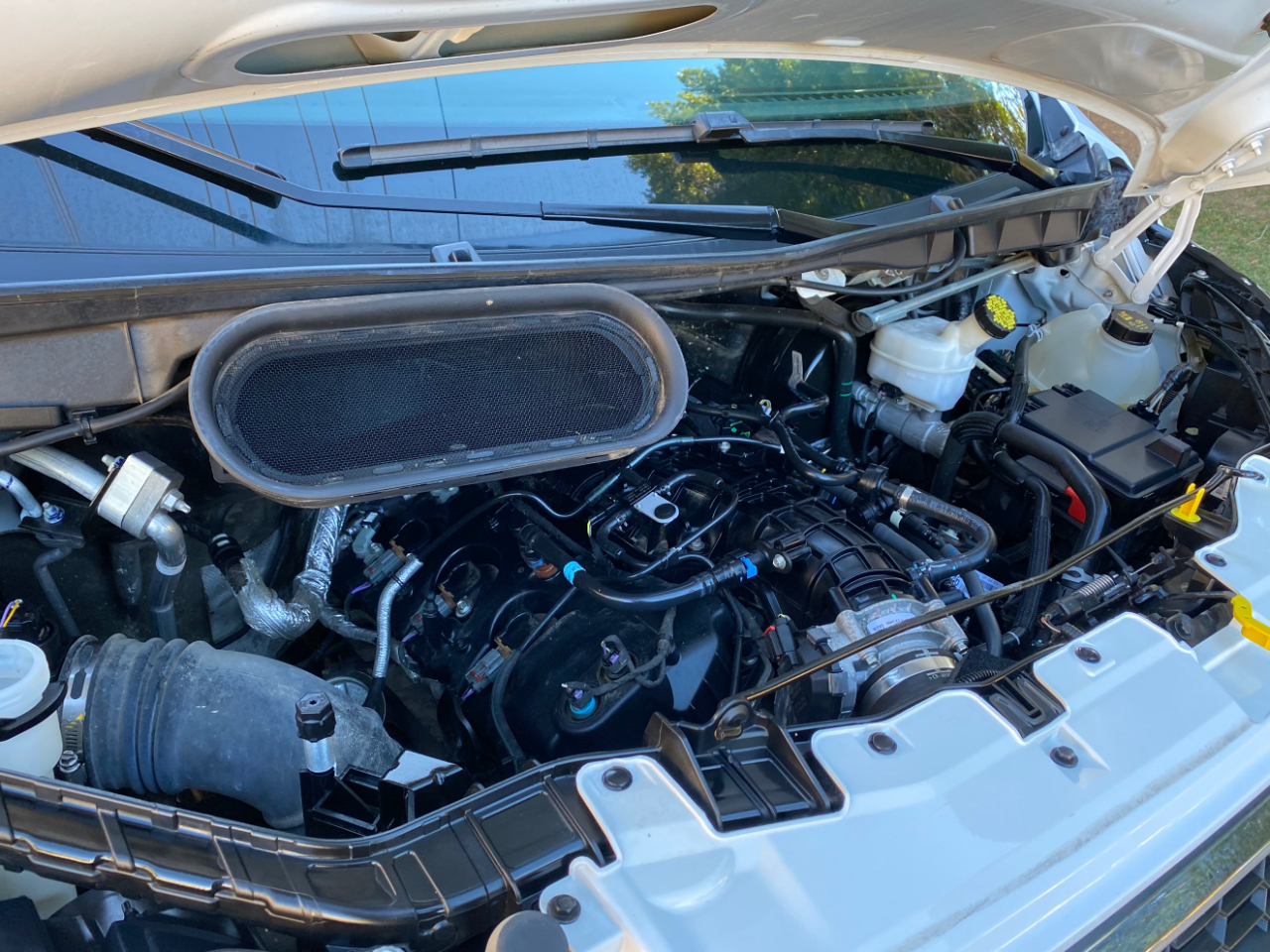 Ford Transit Passenger Wagon T-350 148" Low Roof XLT RWD 2023