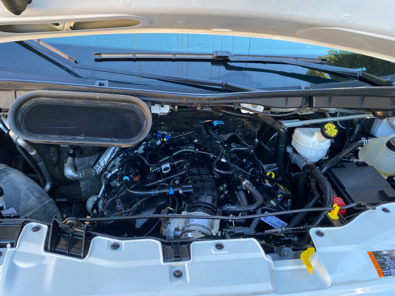 Ford Transit Passenger Wagon T-350 148" Low Roof XLT RWD 2023