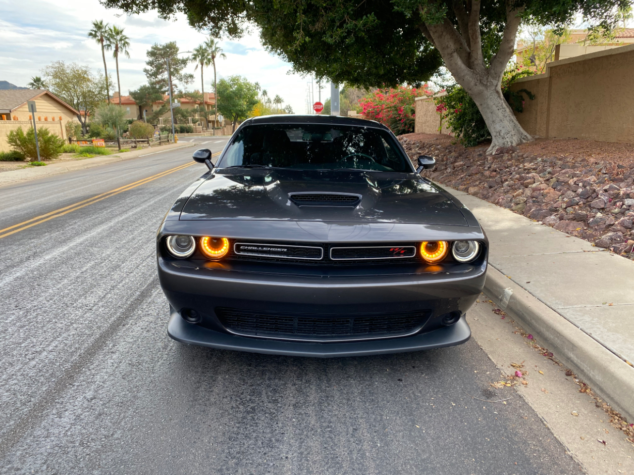 Dodge Challenger R/T RWD 2023