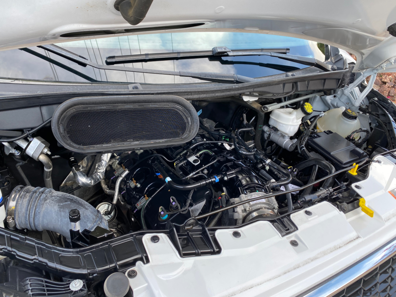 Ford Transit Passenger Wagon T-350 148" Low Roof XLT RWD 2023