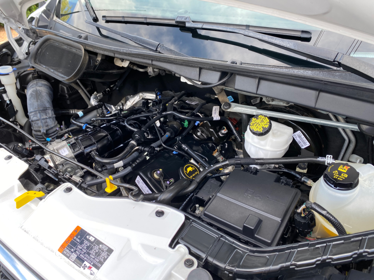 Ford Transit Passenger Wagon T-350 148" Low Roof XLT RWD 2023